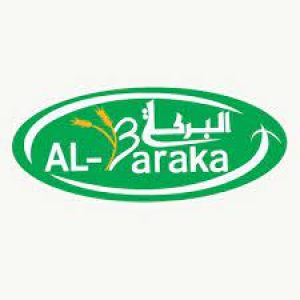 البركة
