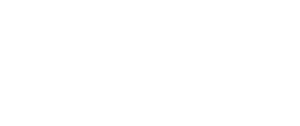 TheOne System
